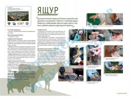 Уважаемые жители!